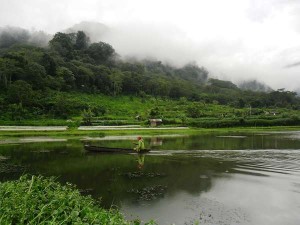 Team Building di Bumi Perkemahan Buyan Bali New 2015